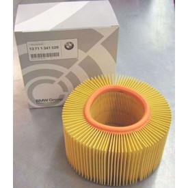 BMW Air Filter, Oil-Heads (except R1200C/CL, & 1100S)