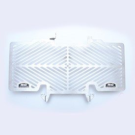 R&G Stainless Steel Radiator Guard For BMW R1200R '15-'19, R1200RS '15-'19, R1250R '19 & R1250RS '19