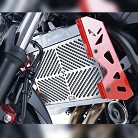 R&G Stainless Steel Radiator Guard For BMW S1000RR '15-'18