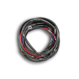 Main Wiring Harness, R25/3