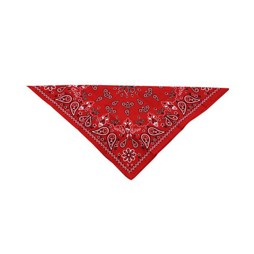 Paisley Cotton Bandana | Bob’s Motorcycle’s – Jessup, MD